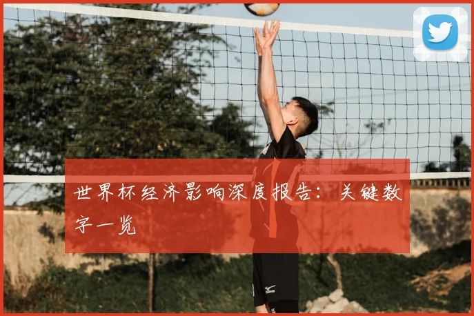 世界杯经济影响深度报告:关键数字一览
